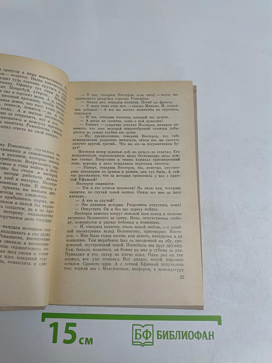 Пограничная тишина