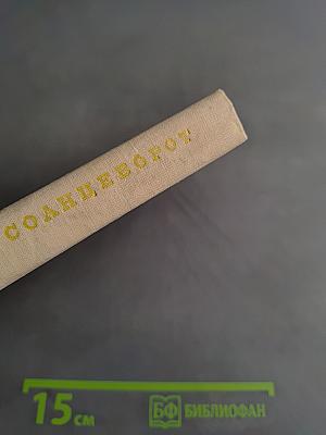 Солнцеворот