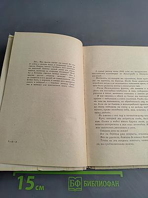 Лес
