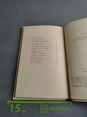 Лес