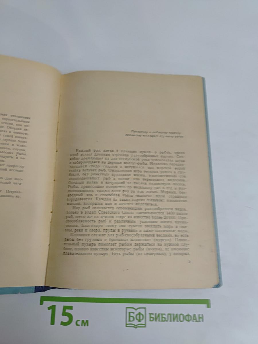 Рассказ о жизни рыб