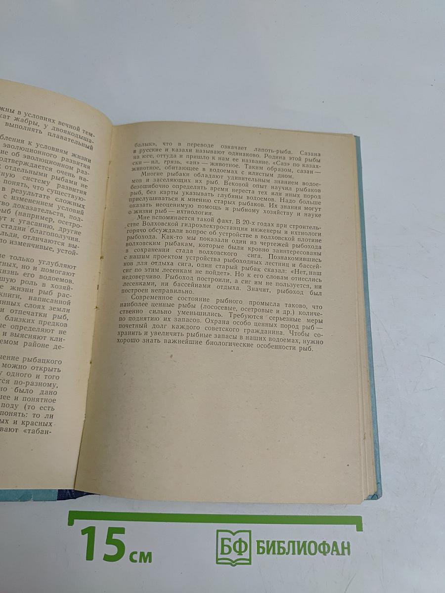 Рассказ о жизни рыб