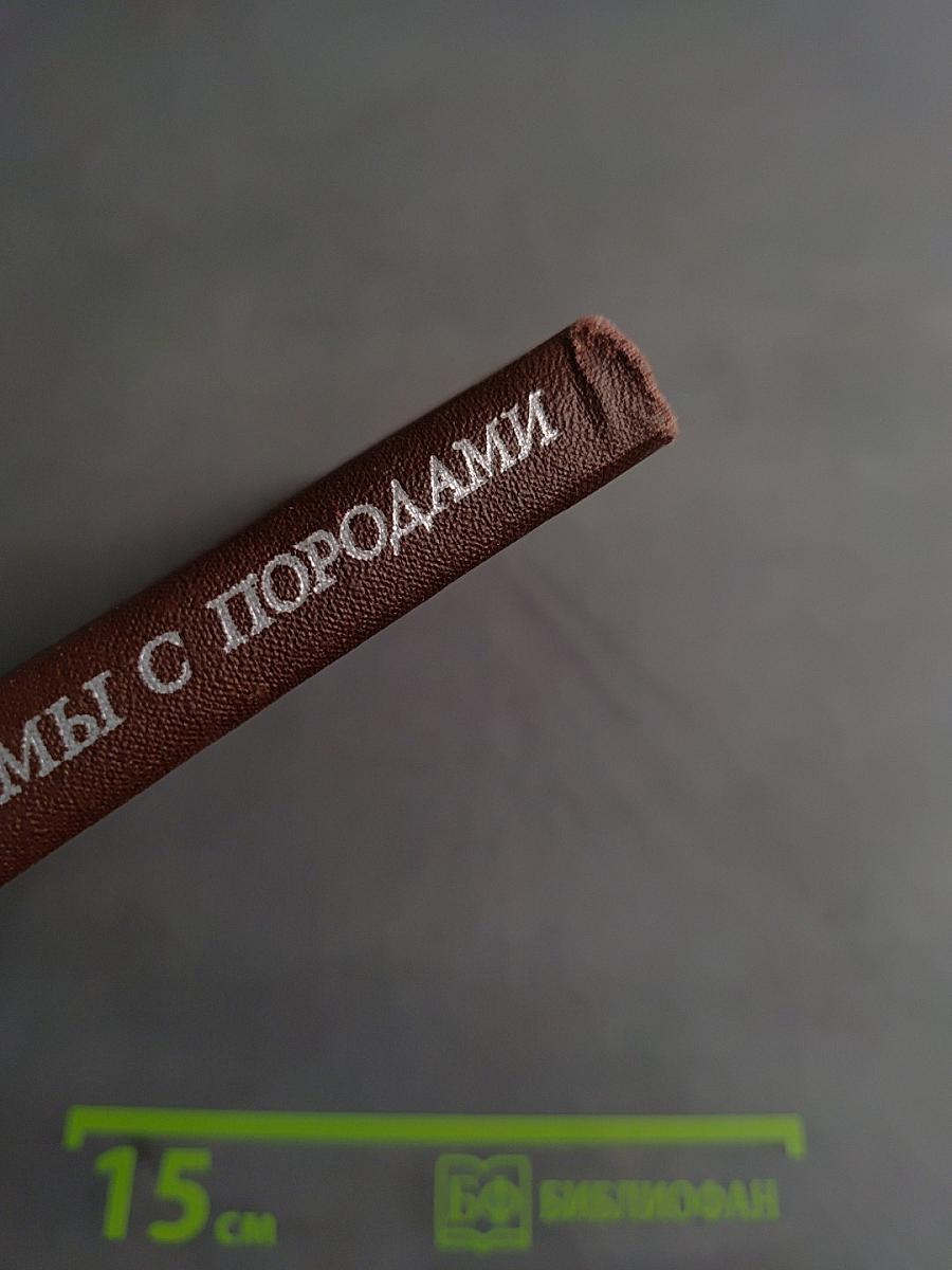 Динамика взаимодействия магмы с породами