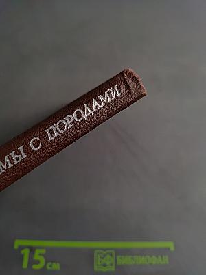Динамика взаимодействия магмы с породами