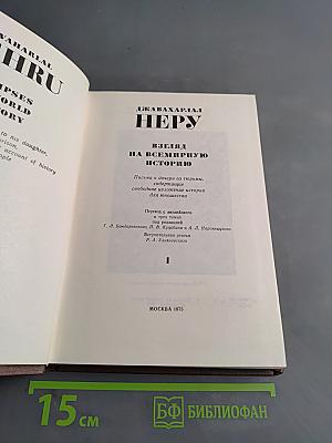 Взгляд на всемирную историю. Том 1