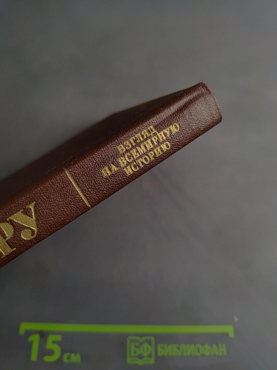 Взгляд на всемирную историю. Том 1