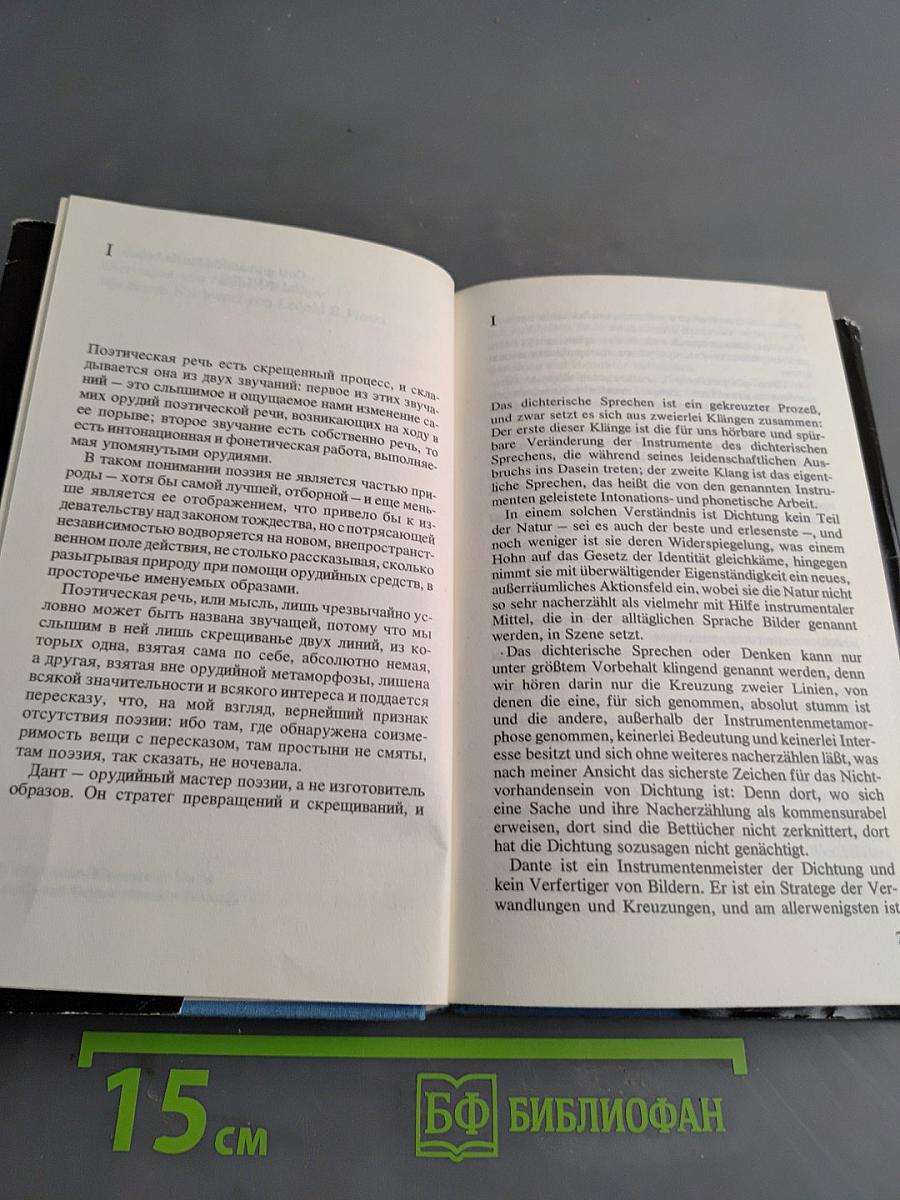 Gespräch über Dante. Russisch und deutsch