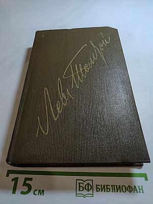 Повести и рассказы 1872-1886. Том десятый