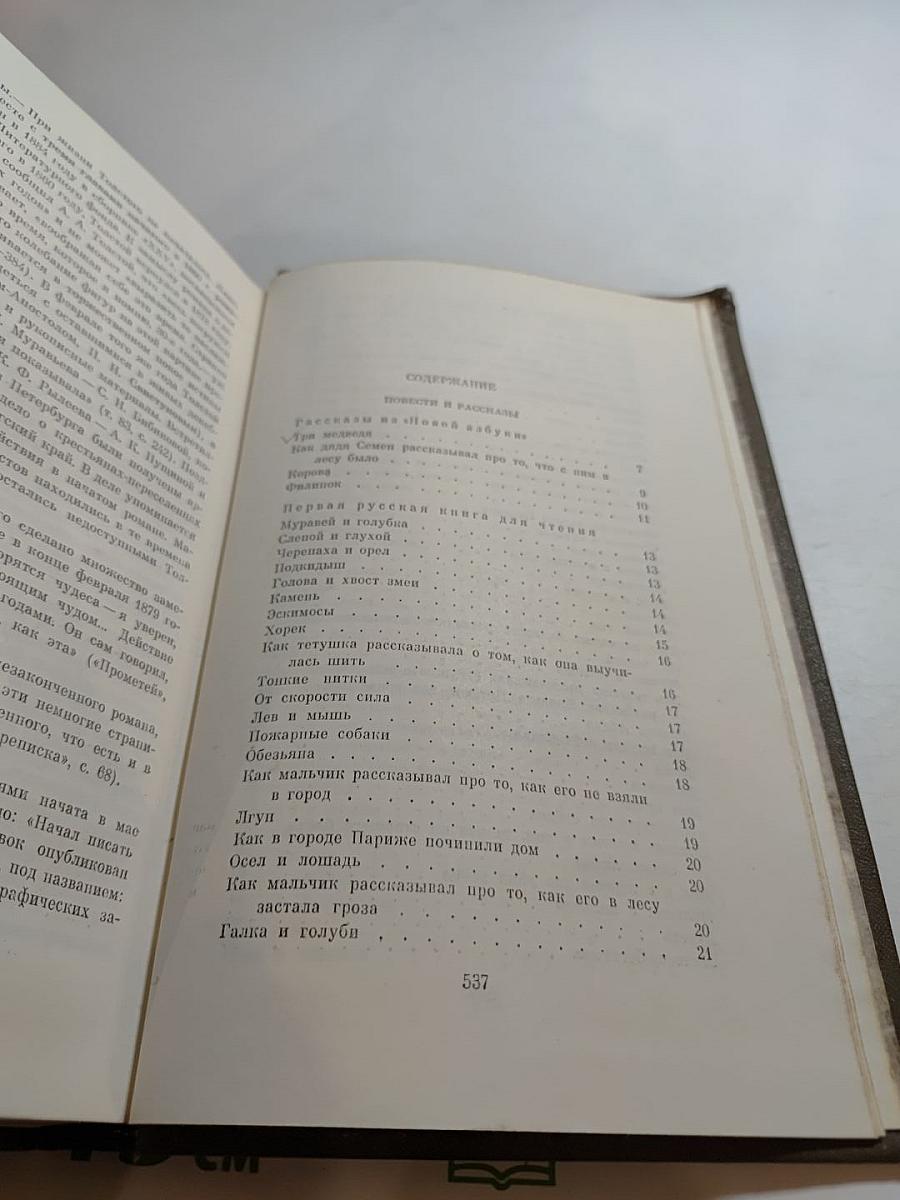Повести и рассказы 1872-1886. Том десятый