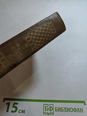 Повести и рассказы 1872-1886. Том десятый