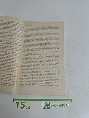 Было дело в понедельник