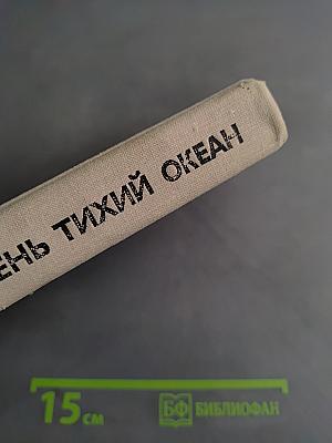 Не очень тихий океан