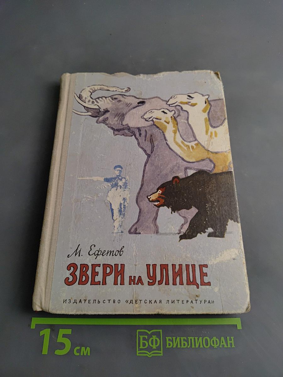 Звери на улице