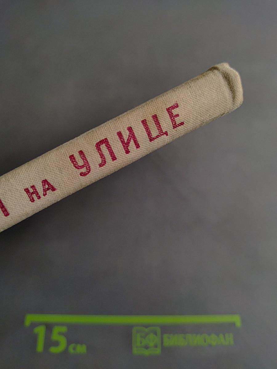 Звери на улице
