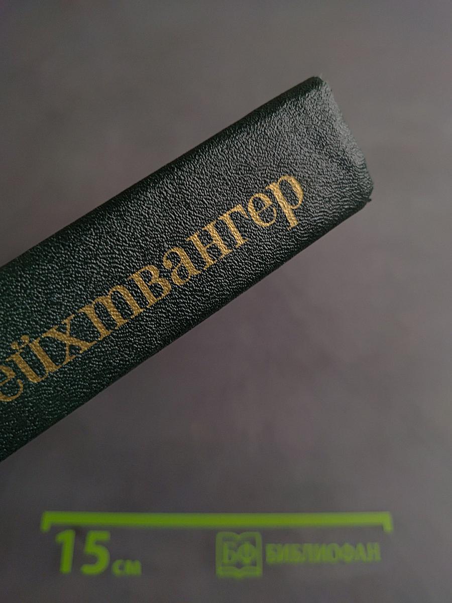Безобразная герцогиня Маргарита Маульташ. Семья Оппенман