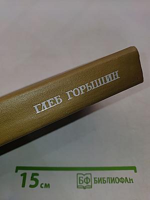Запонь