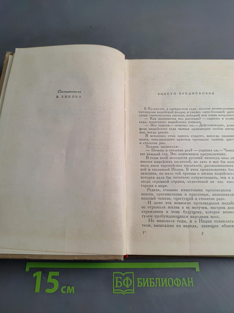 Индийские и пакистанские рассказы