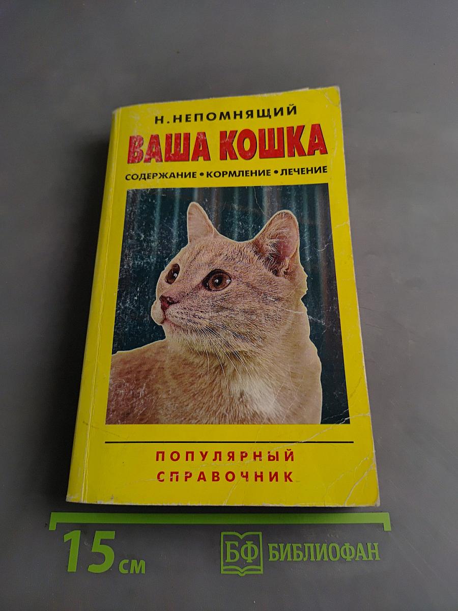 Ваша кошка