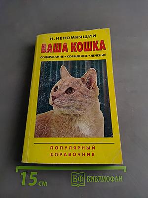 Ваша кошка