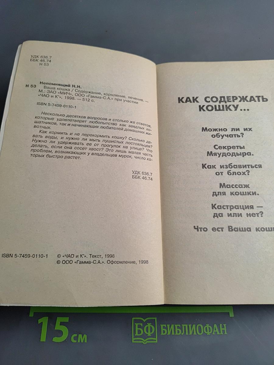 Ваша кошка