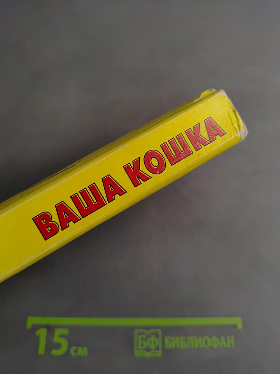 Ваша кошка