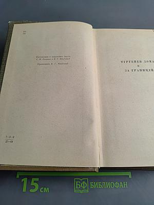 И.С. Тургенев в воспоминаниях современников. Том второй
