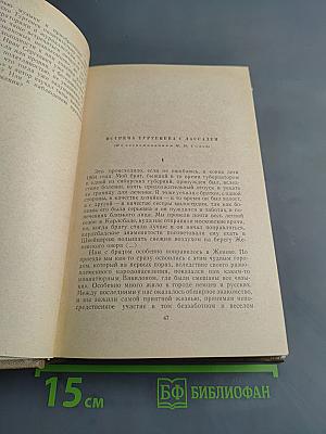 И.С. Тургенев в воспоминаниях современников. Том второй