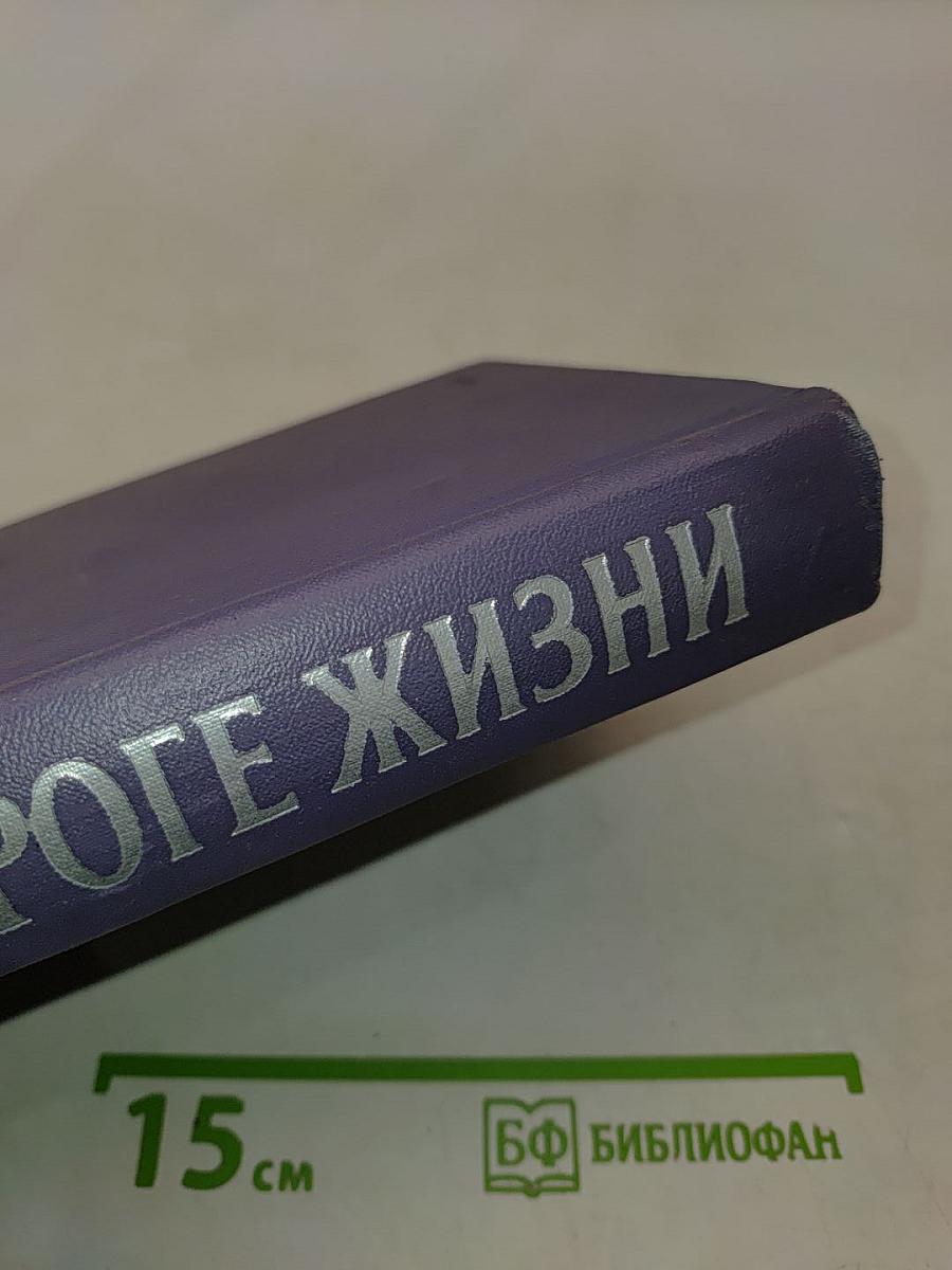 На дороге жизни