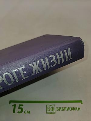 На дороге жизни