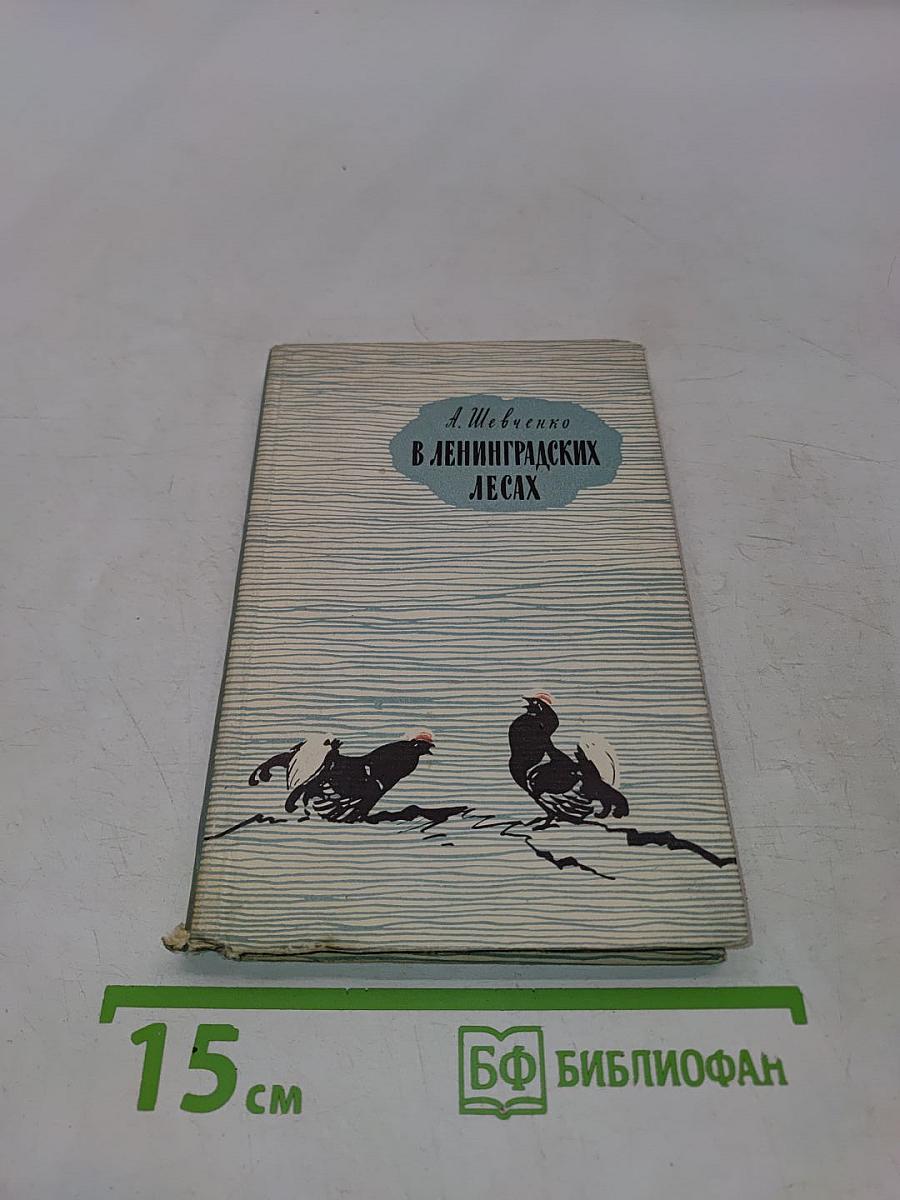В ленинградских лесах