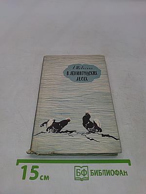 В ленинградских лесах