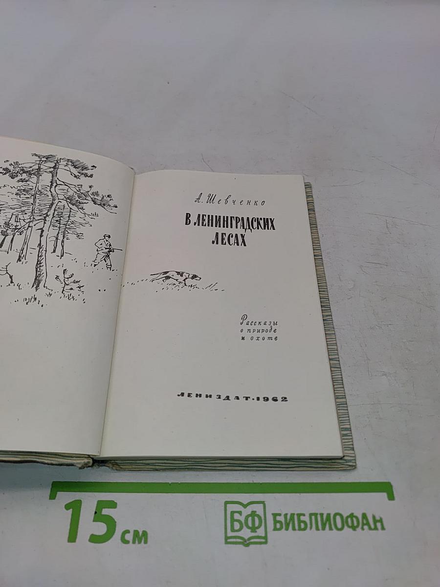 В ленинградских лесах