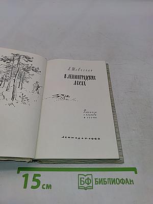 В ленинградских лесах