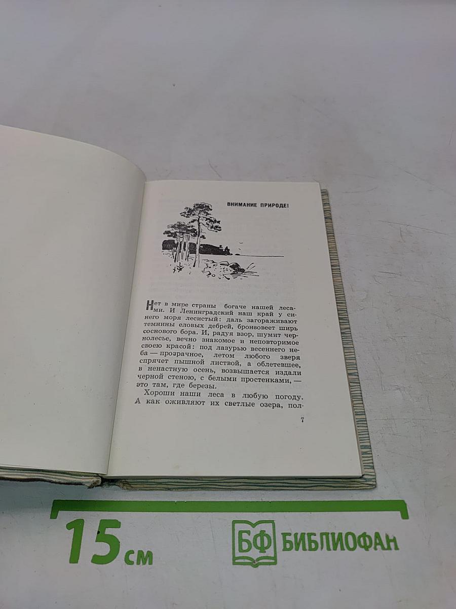 В ленинградских лесах