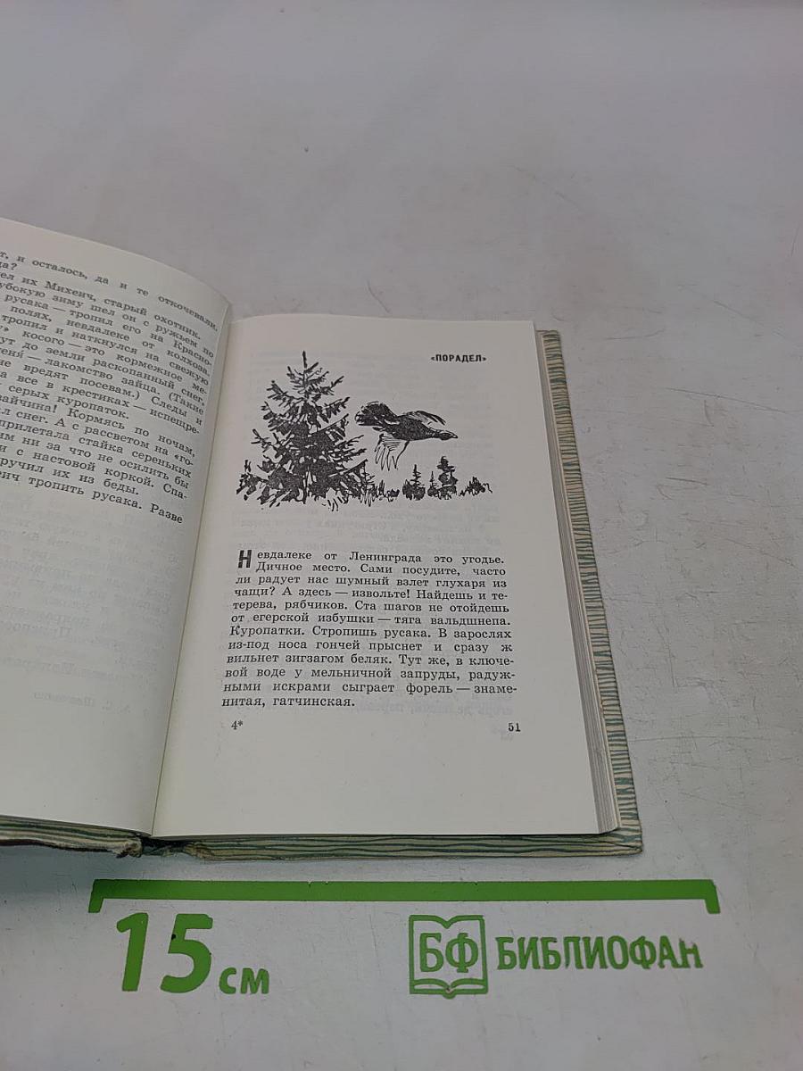 В ленинградских лесах