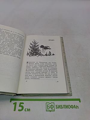 В ленинградских лесах