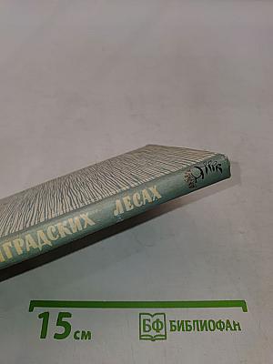 В ленинградских лесах