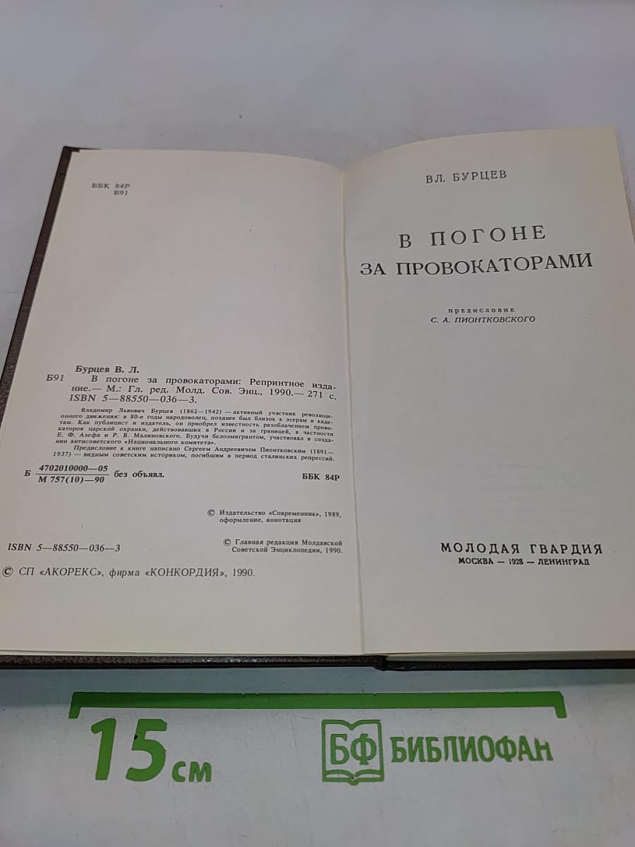 В погоне за провокаторами