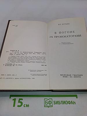 В погоне за провокаторами