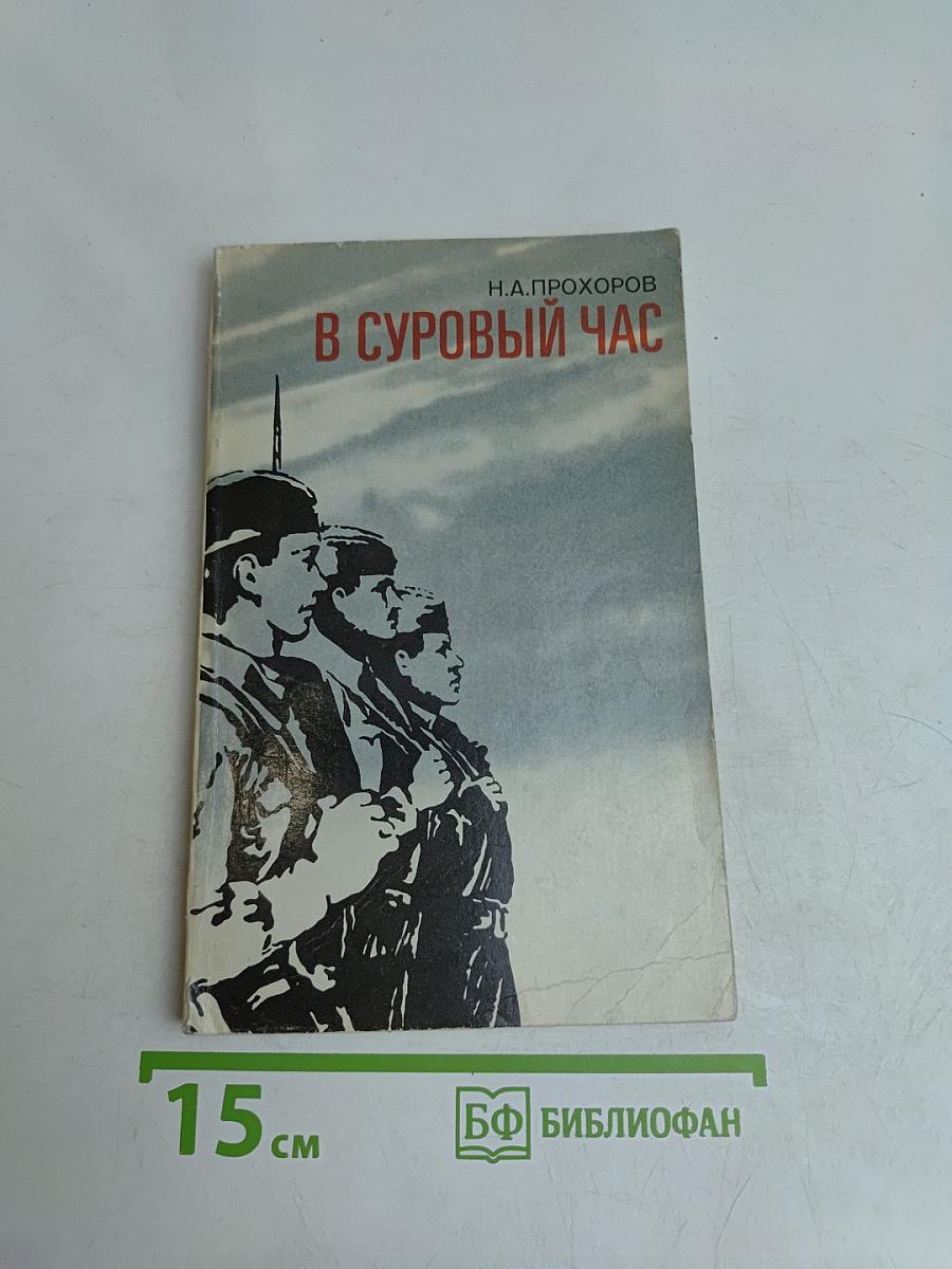 В суровый час. Записки ополченца