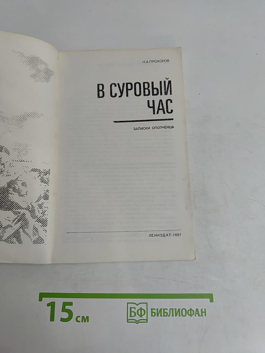 В суровый час. Записки ополченца