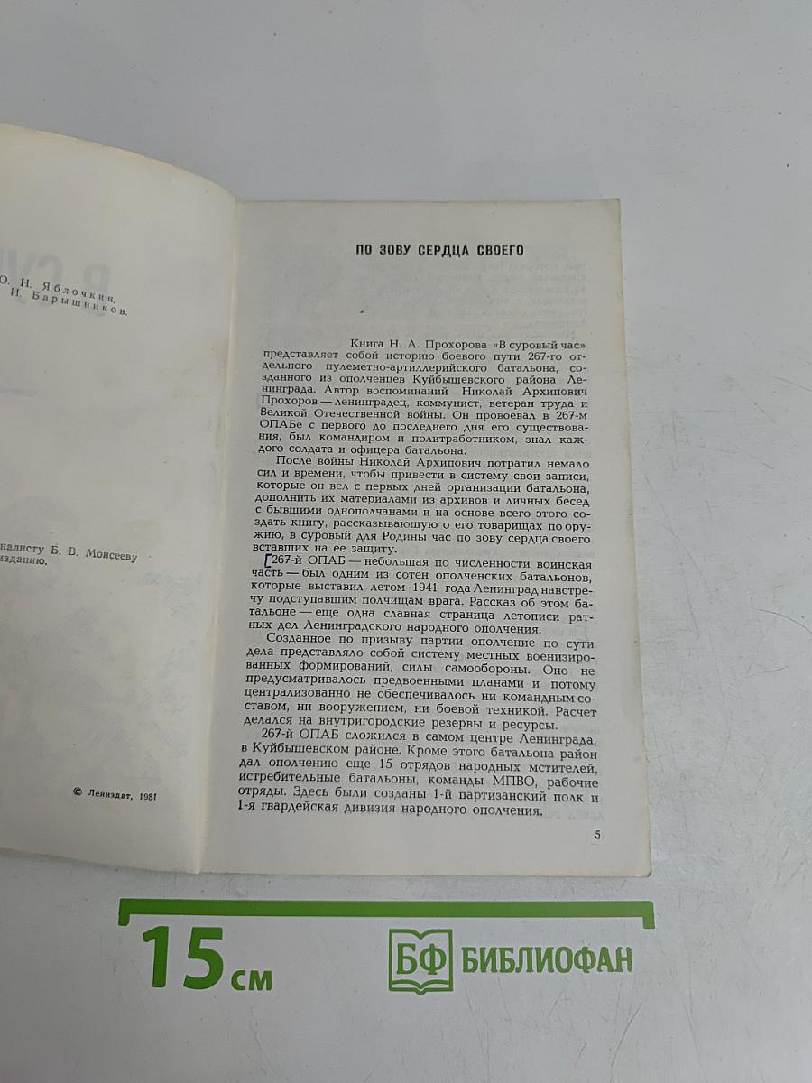 В суровый час. Записки ополченца
