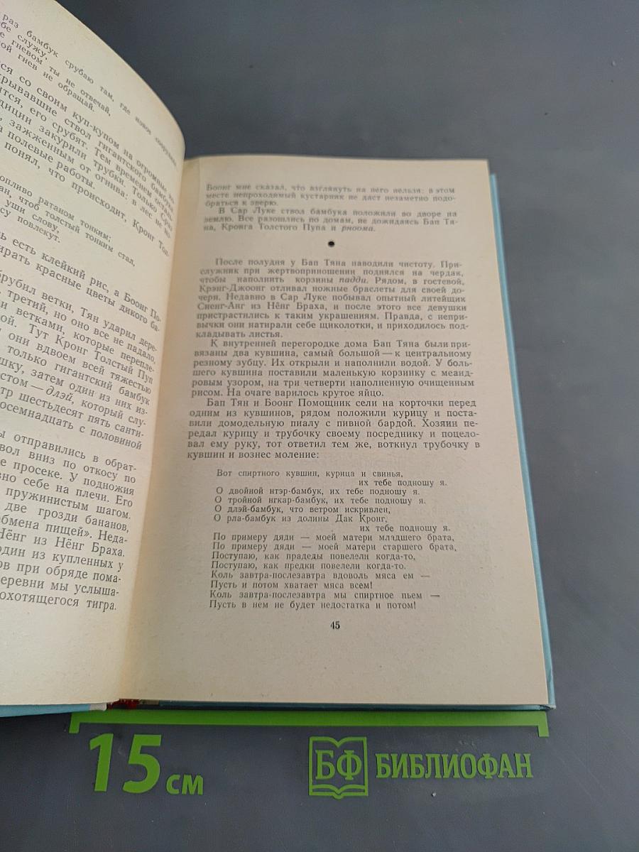 Лес священного камня