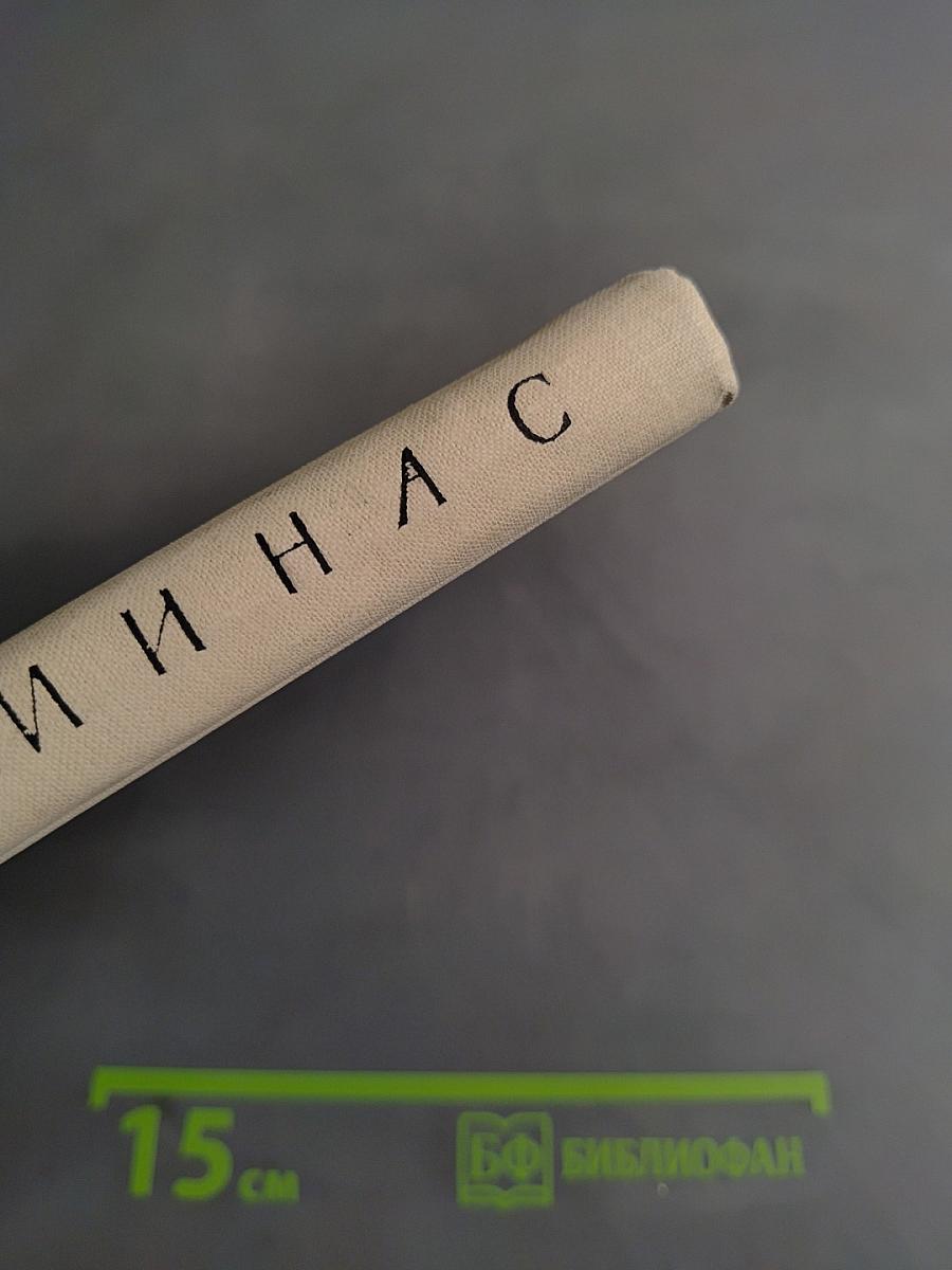 Лес священного камня