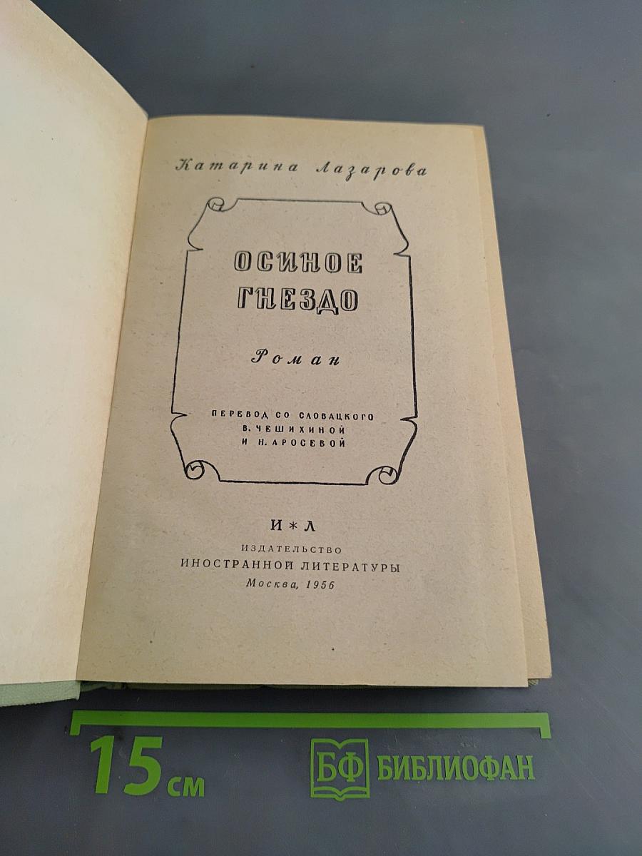 Осиное гнездо