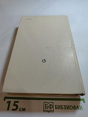 Вечерний день