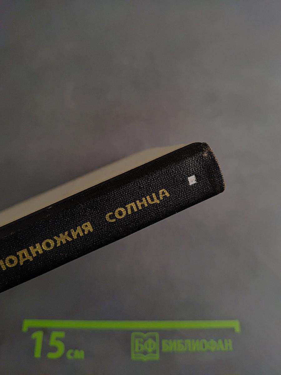 У подножия солнца