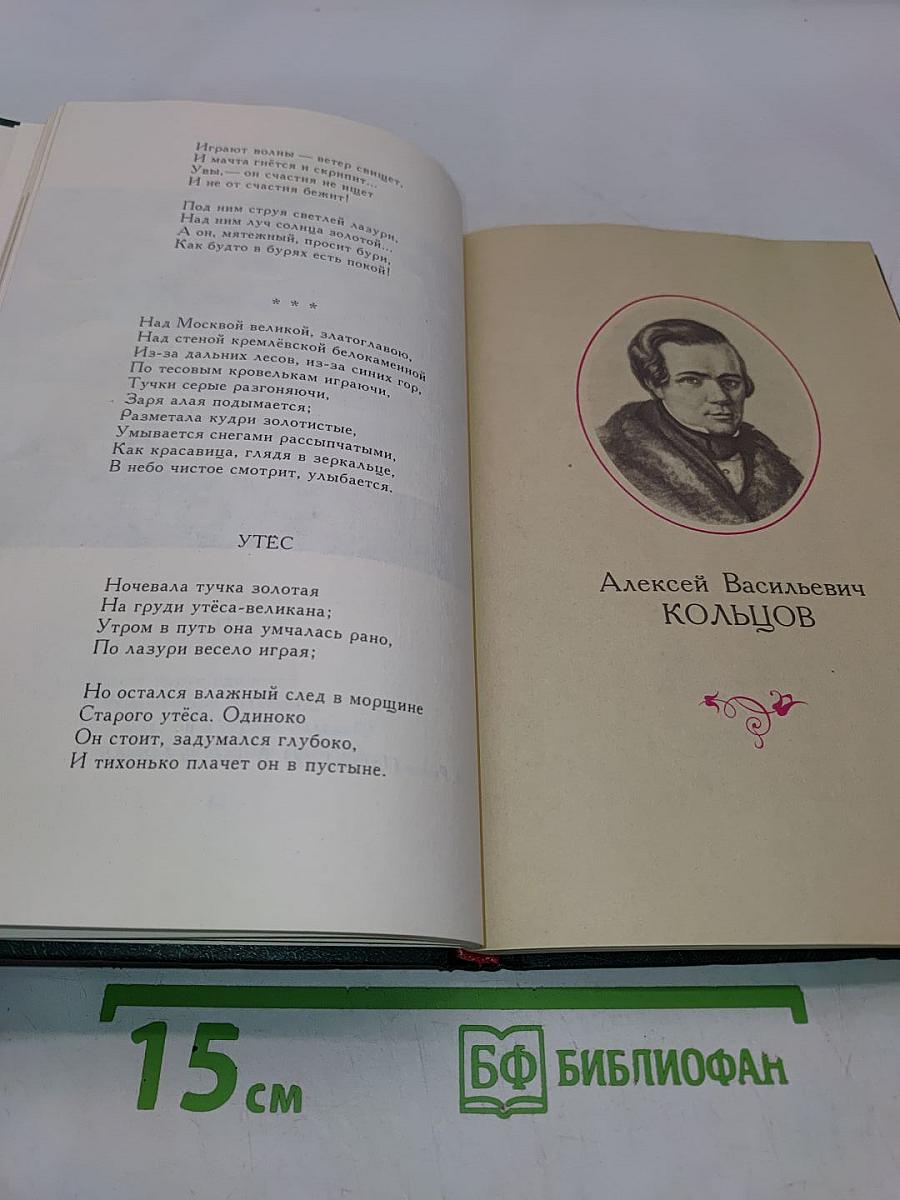 Под большим шатром голубых небес. Стихи русских поэтов XIX-XX веков