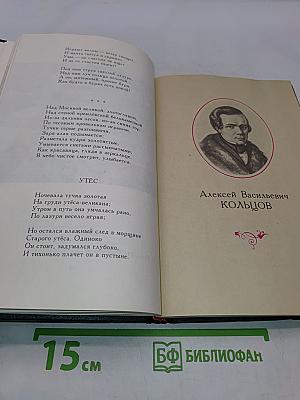 Под большим шатром голубых небес. Стихи русских поэтов XIX-XX веков