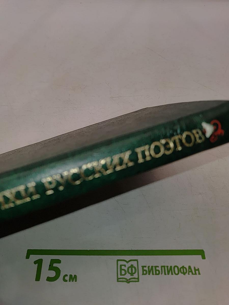 Под большим шатром голубых небес. Стихи русских поэтов XIX-XX веков